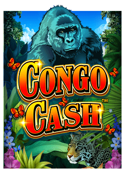 สนุกกับสล็อต xo 5 ง่าย ๆ ที่คุณจะหลงรัก